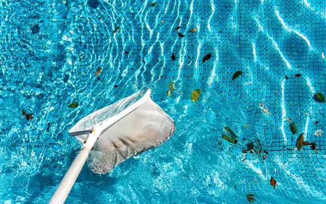Swimming pool net leaf skimmer